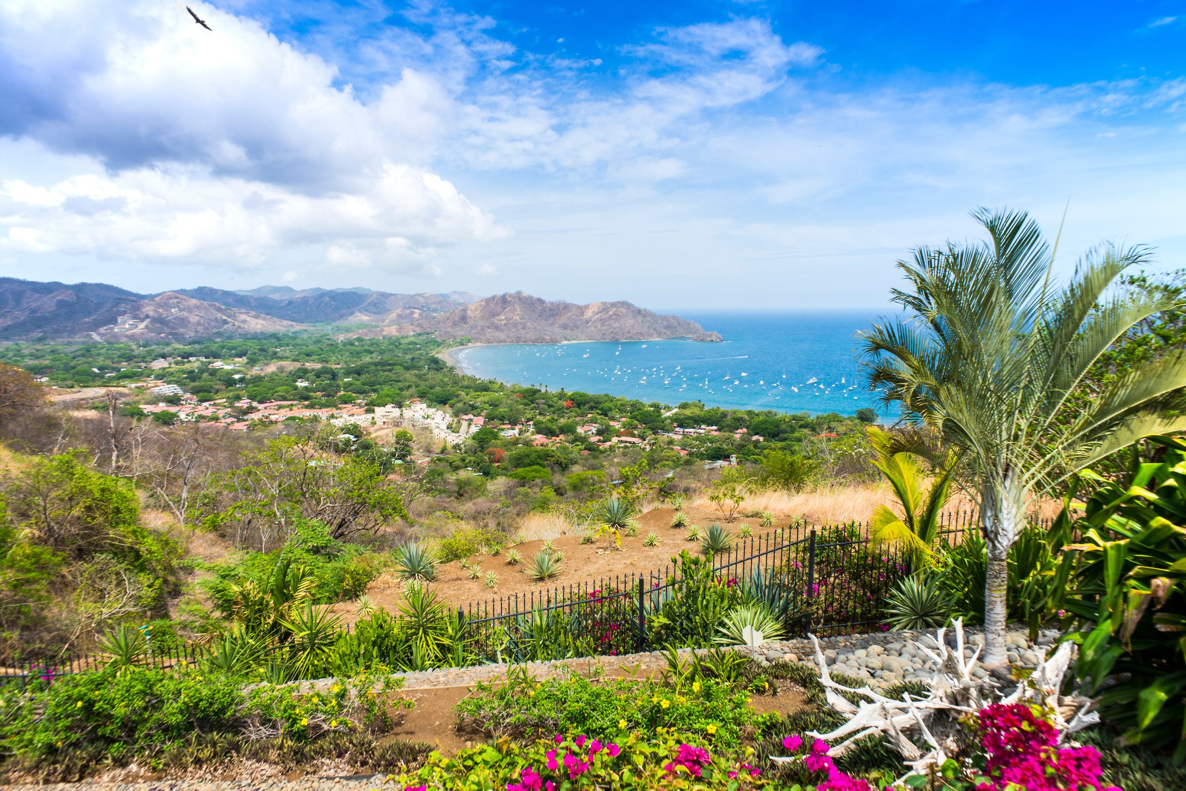 140 playas del coco.webp